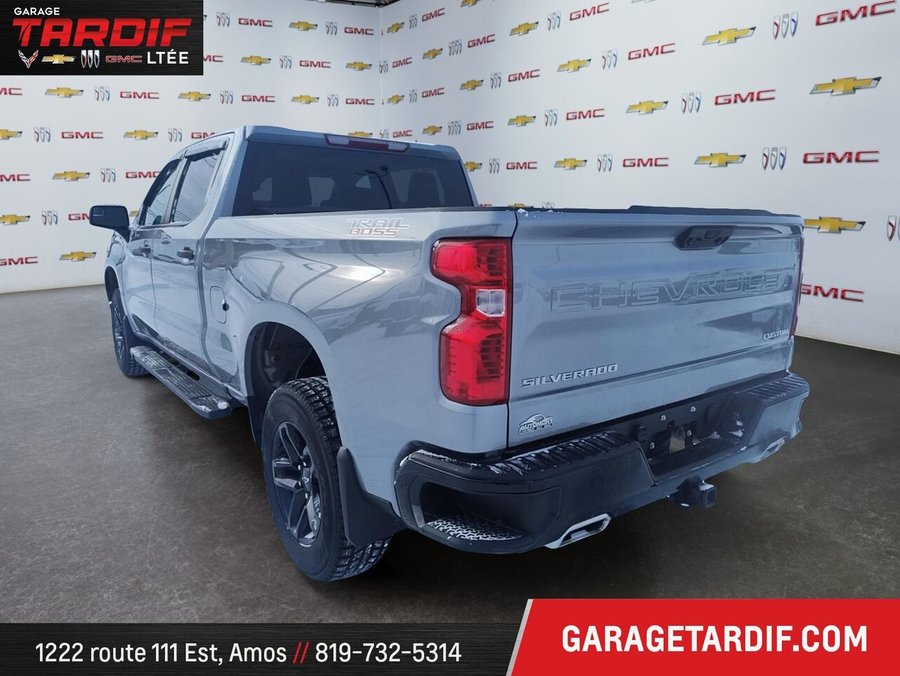 2024 CHEVROLET Silverado 1500 2024 Grey