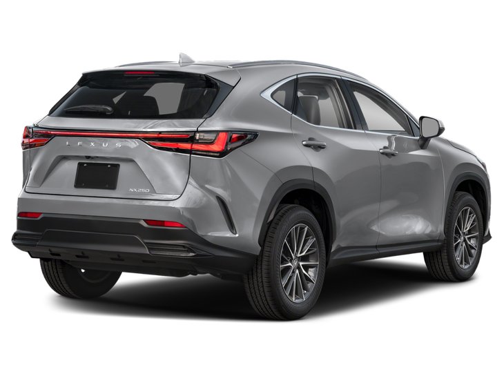 2025 Lexus NX NX 250