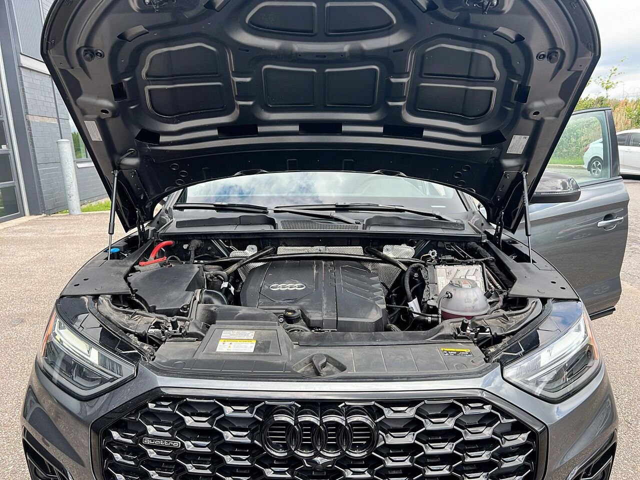 2025 Audi Q5 Sportback PROGRESSIV Grey Québec - photo #7