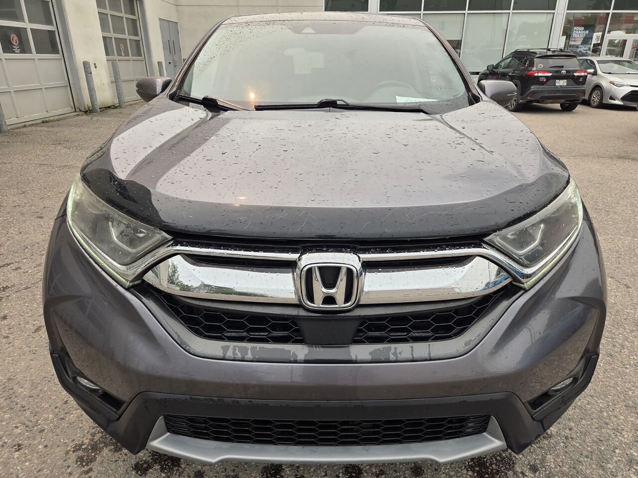 2017 Honda CR-V Grey Amos - photo #1