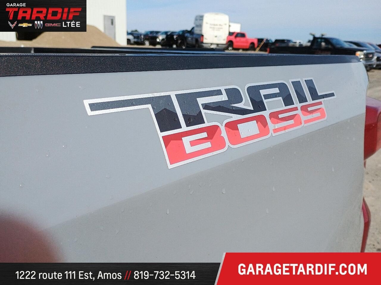 CHEVROLET Silverado 1500 2024 Gris Amos - photo #6