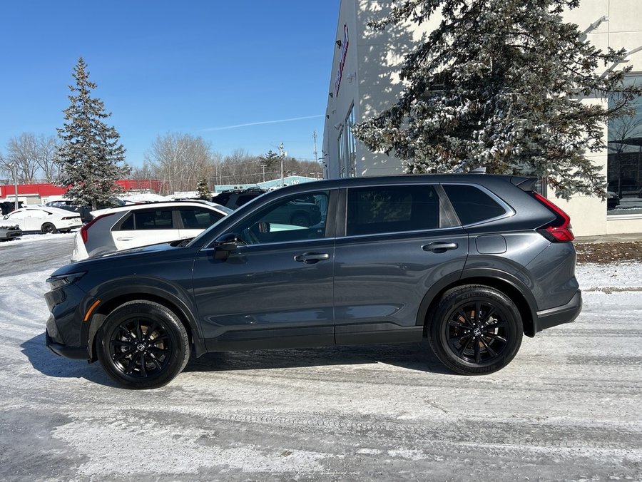 2024 Honda CR-V Hybrid 2024 Grey