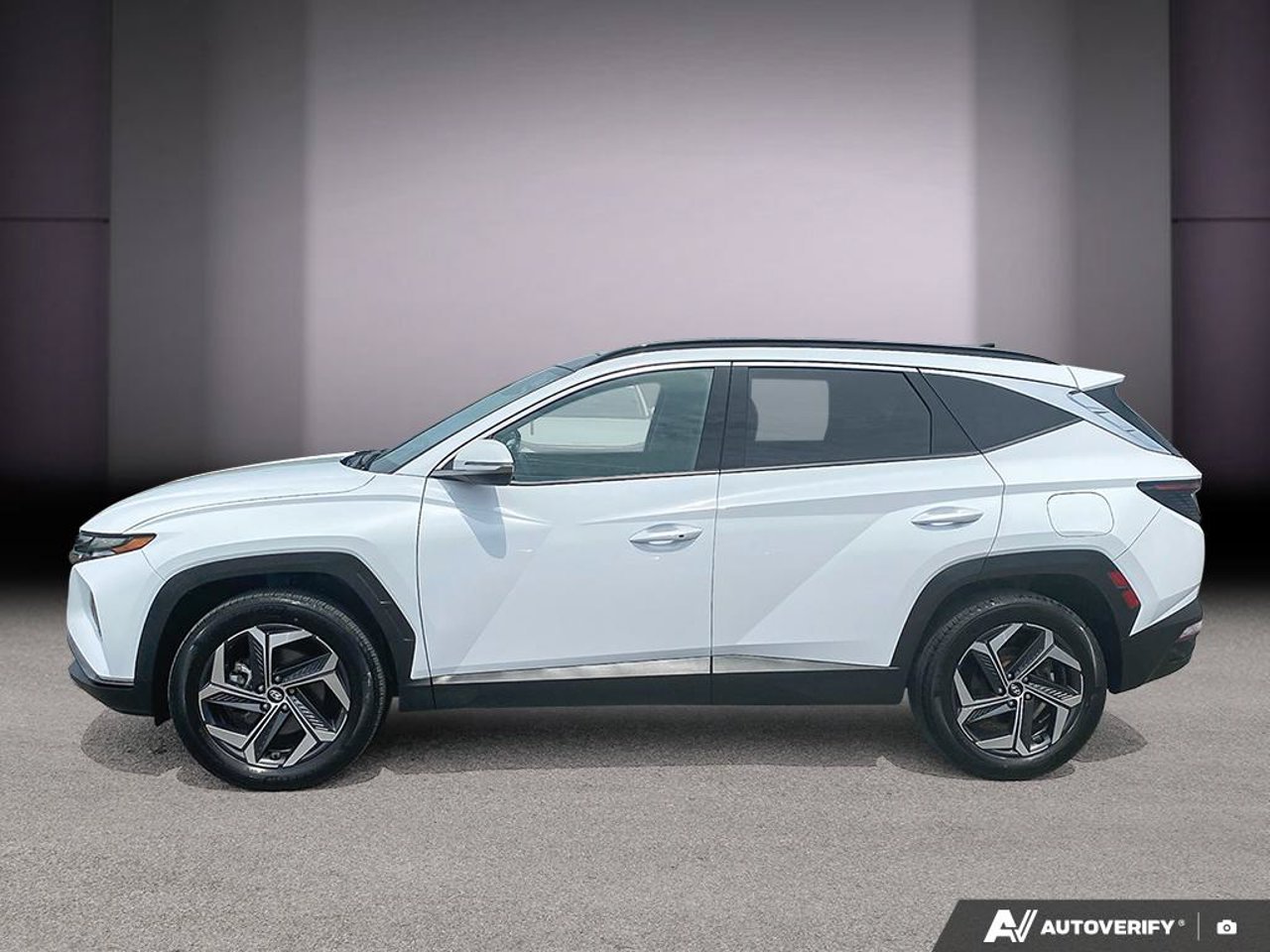 Hyundai Tucson hybride KM8JCCA13PU113802 2023 Blanc Mirabel - photo #1
