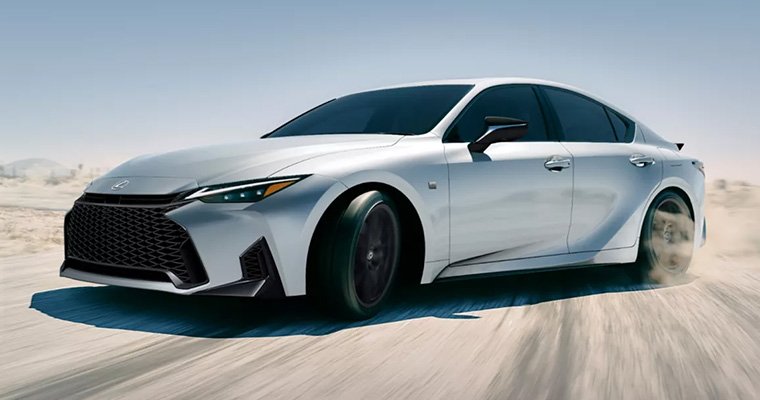 Cras blandit sodales ipsum