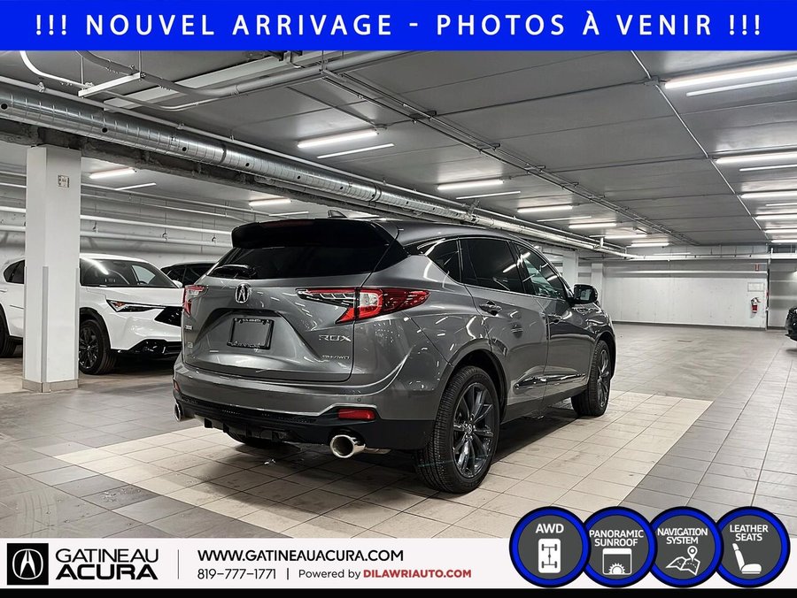 2025 Acura RDX 2025 Grey