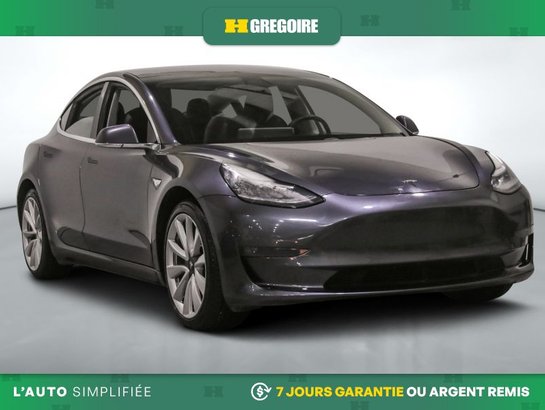 Tesla Model 3 2020 2020 Gris
