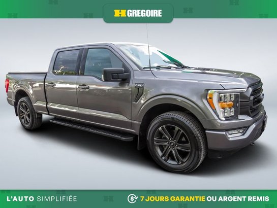 Ford F150 2021 2021 Gris