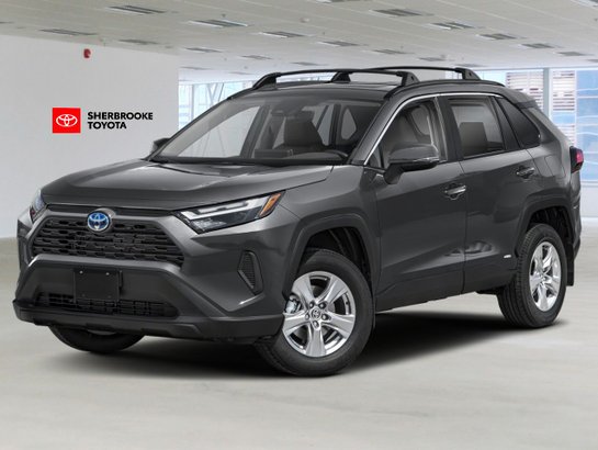 Toyota RAV4 2025 2025 Gris