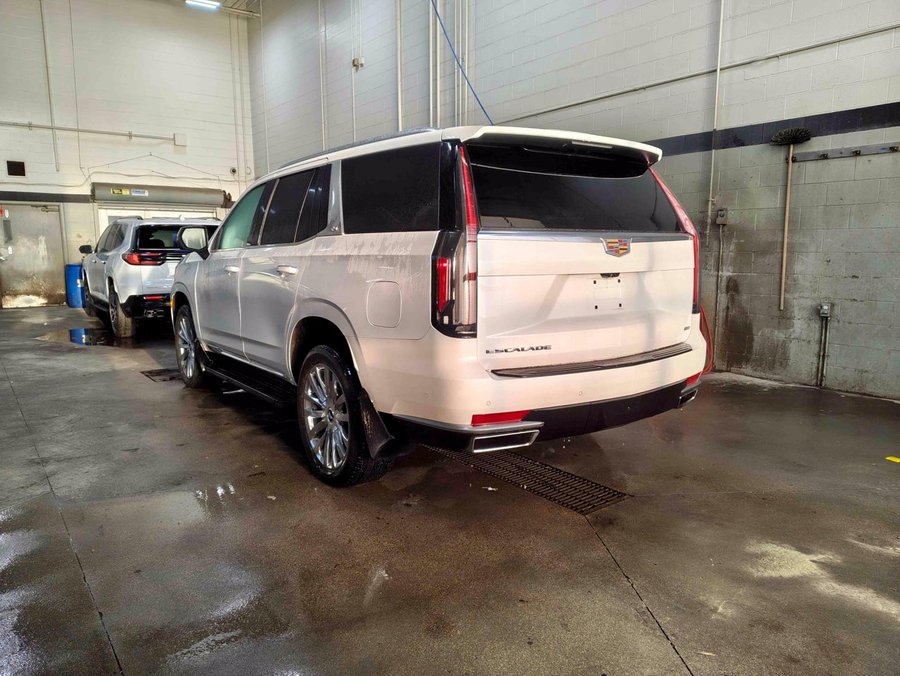 2022 Cadillac Escalade 2022 White