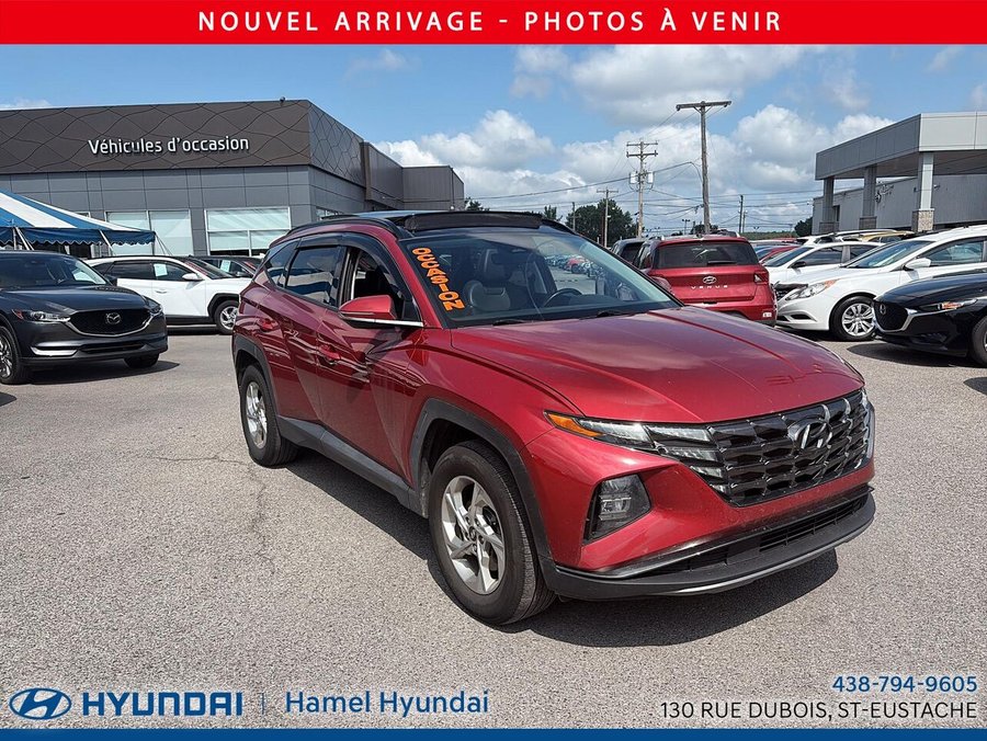 Hyundai Tucson 2024 2024 Rouge