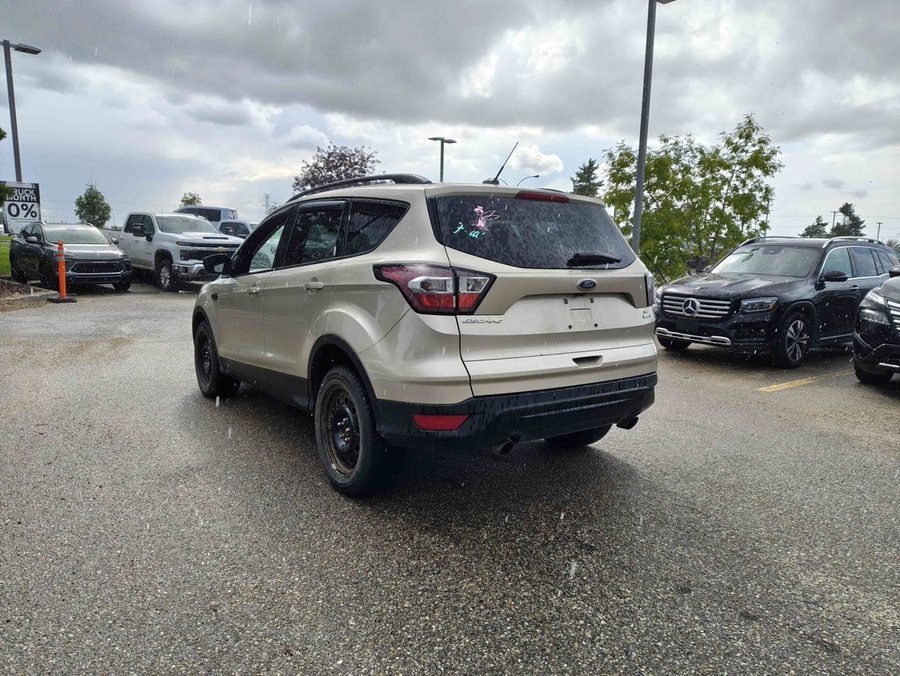 2017 Ford Escape 2017 White Gold