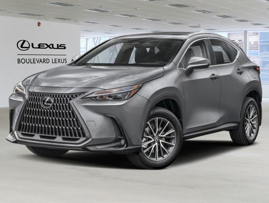 LEXUS NX 2025 2025 Argent atomique