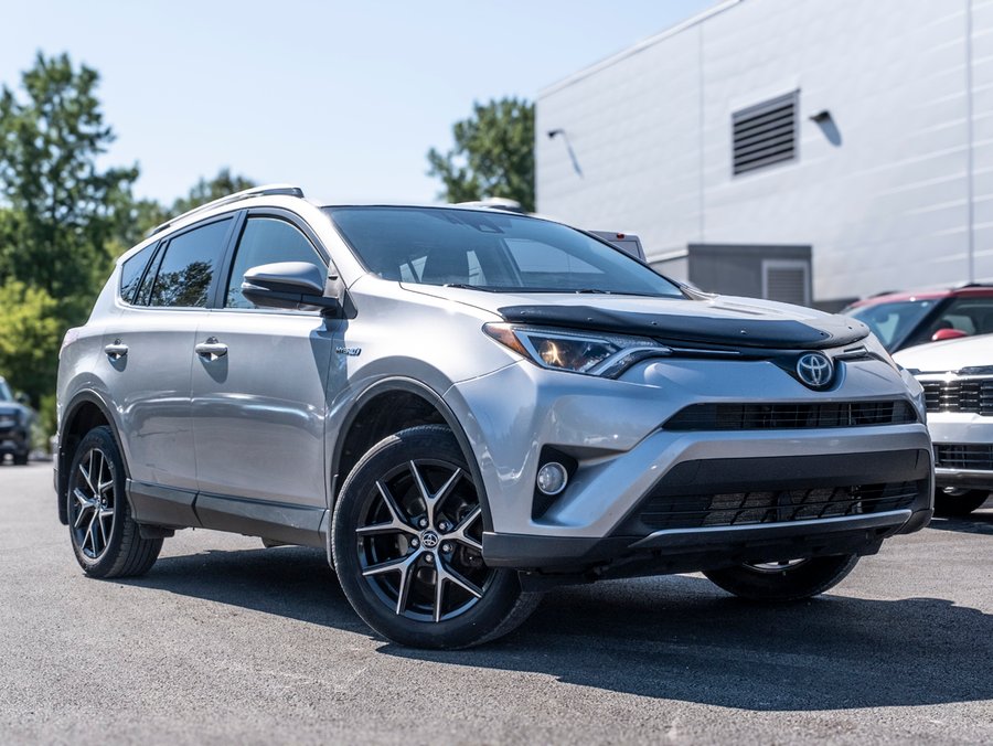Toyota RAV4 2018 2018 Gris