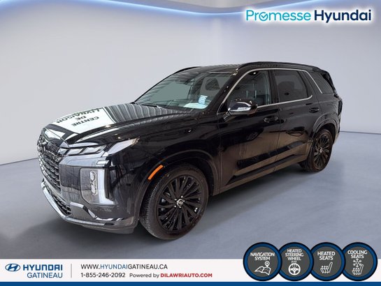 2025 Hyundai Palisade 2025 Black