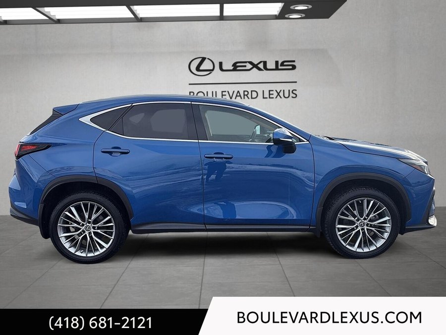 Lexus NX 2023 2023 Bleu
