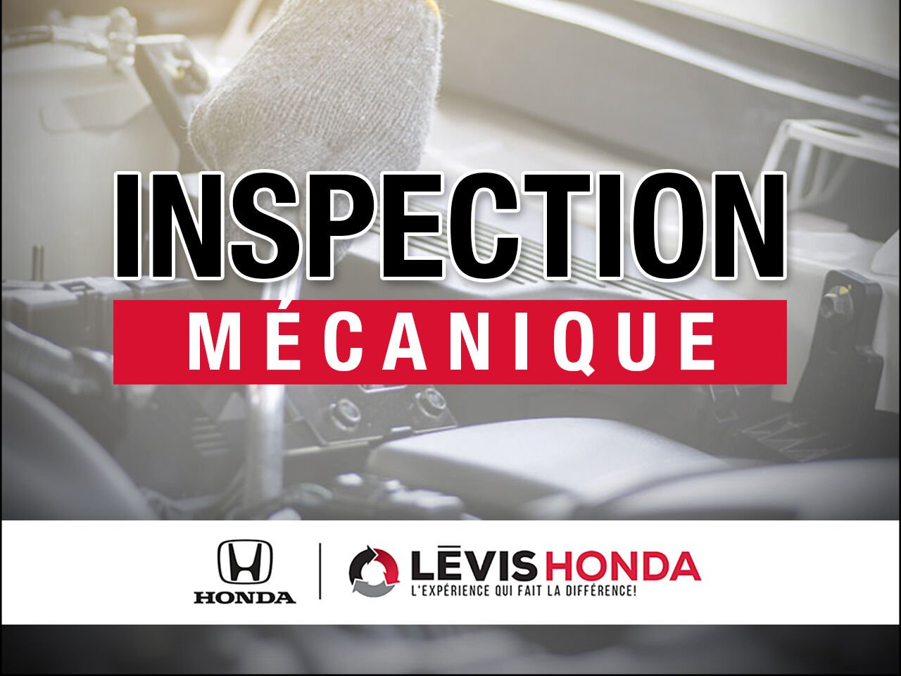 2007 Honda Odyssey LX LX Grey Lévis - photo #5
