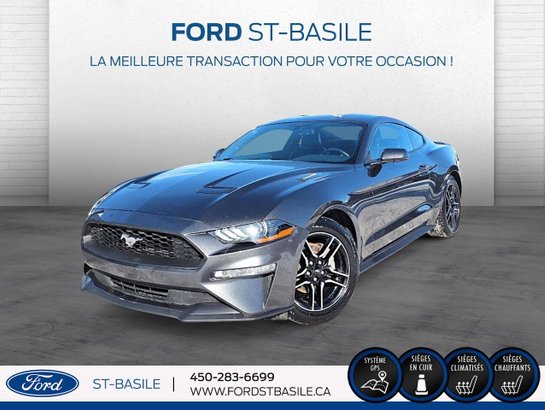 Ford Mustang 2019 2019 Gris