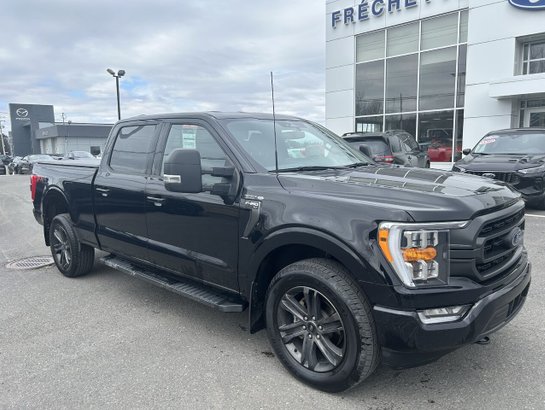 Ford F-150 XLT 2022 2022 Noir