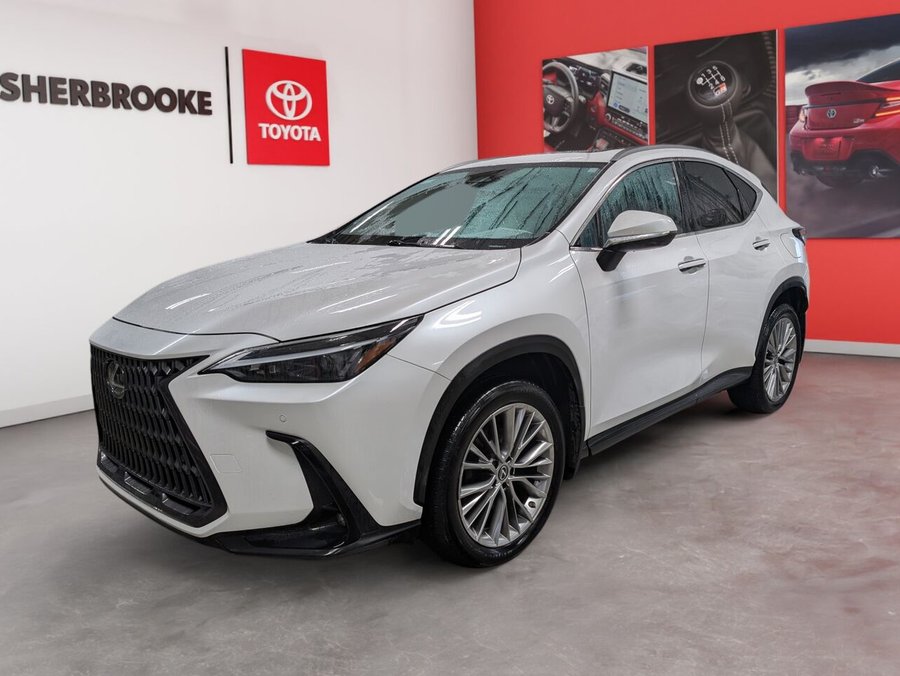 Lexus NX 350 2022 2022 Blanc