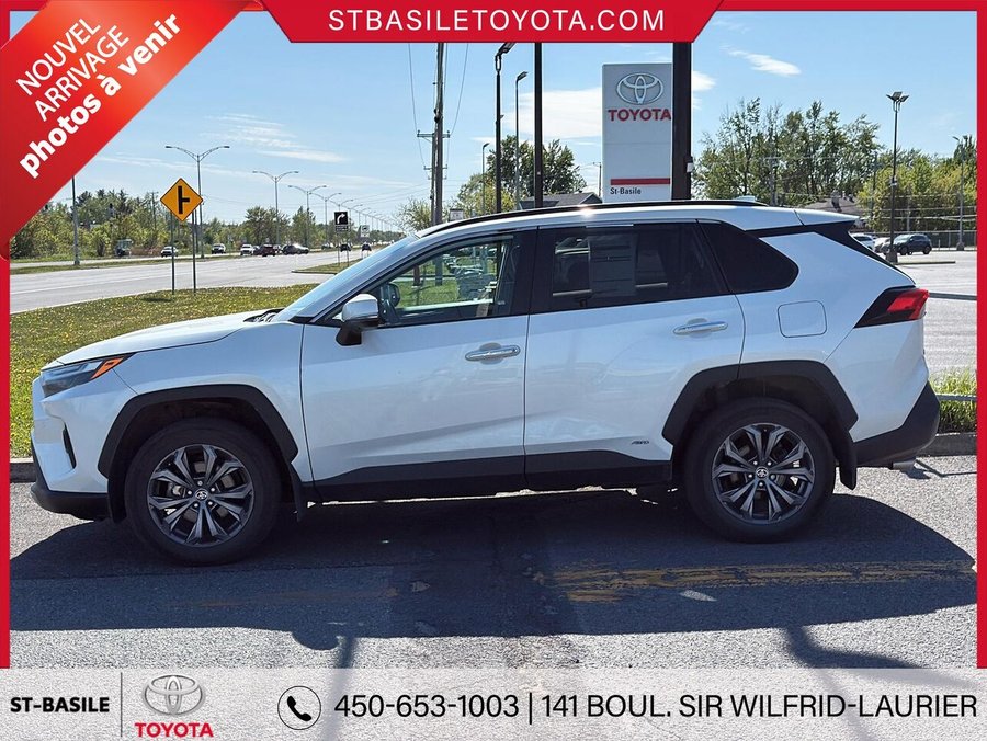 Toyota RAV4 Hybride 2023 2023 Blanc