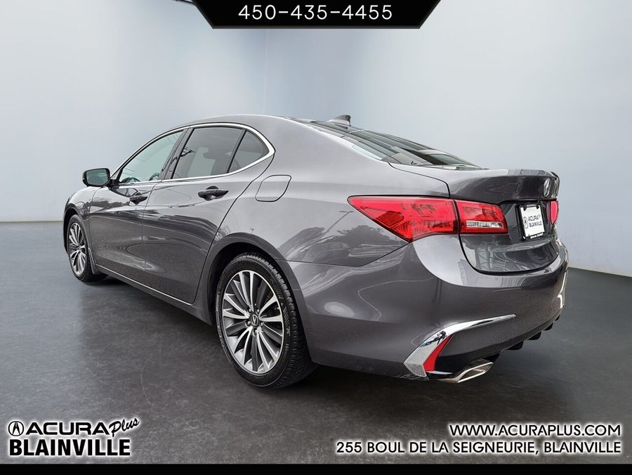 2019 Acura TLX 2019 Grey