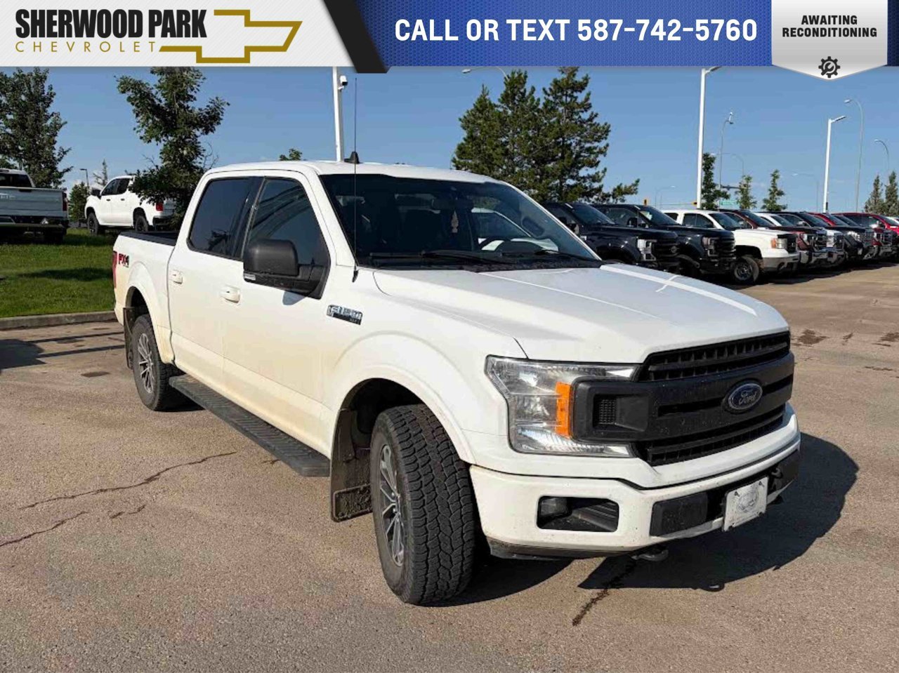 2019 Ford F-150 XLT 4WD SuperCrew 5.5' Box White Sherwood Park - photo #0
