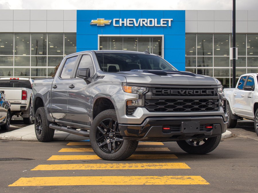 2024 Chevrolet Silverado 1500 2024 Grey