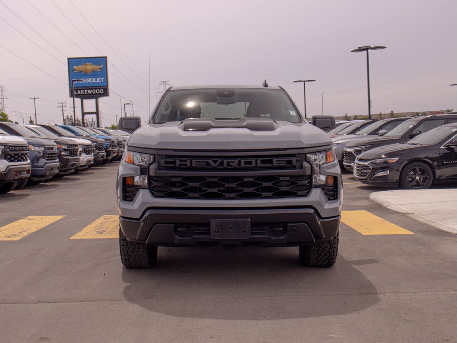 2024 Chevrolet Silverado 1500 2024 Grey
