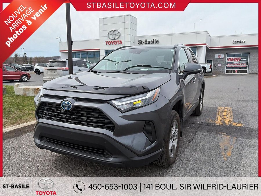 Toyota RAV4 2023 2023 Gris