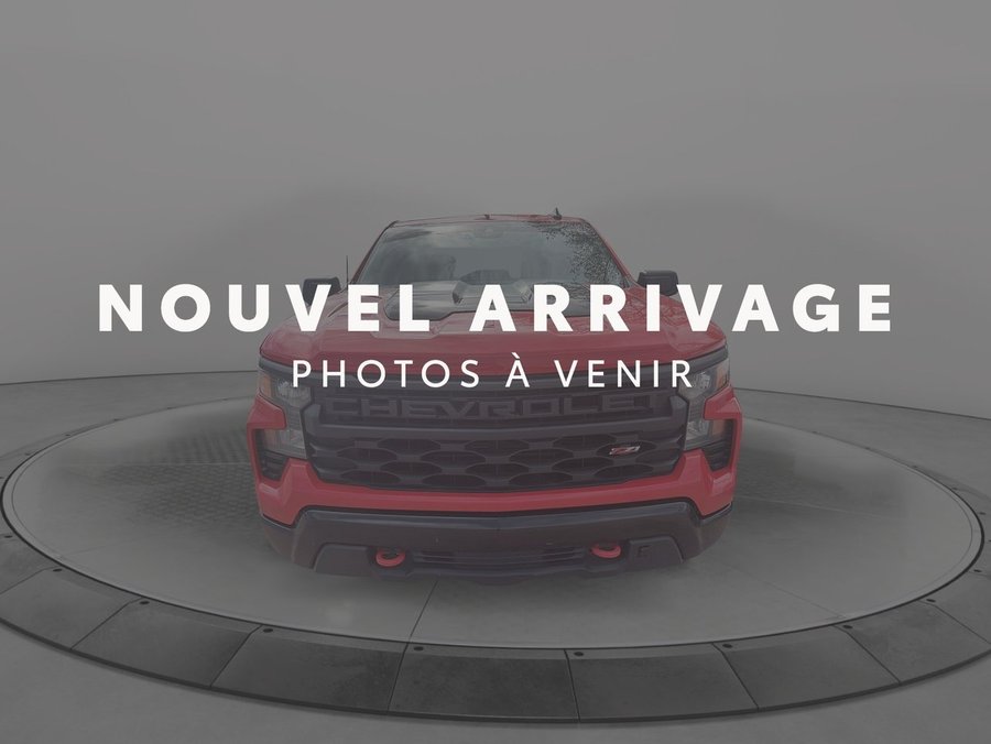Chevrolet Silverado 1500 2022 2022 Rouge