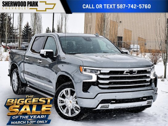 2023 Chevrolet Silverado 1500 2023 Grey