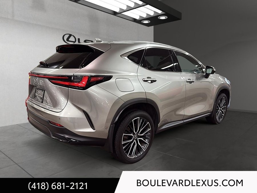 Lexus NX 2022 2022 Argent