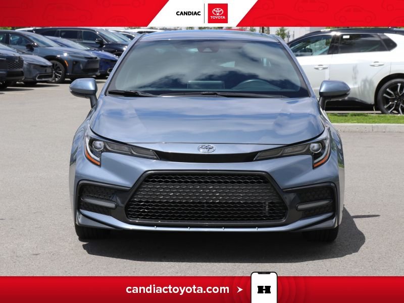 Toyota Corolla 2021 2021 Bleu