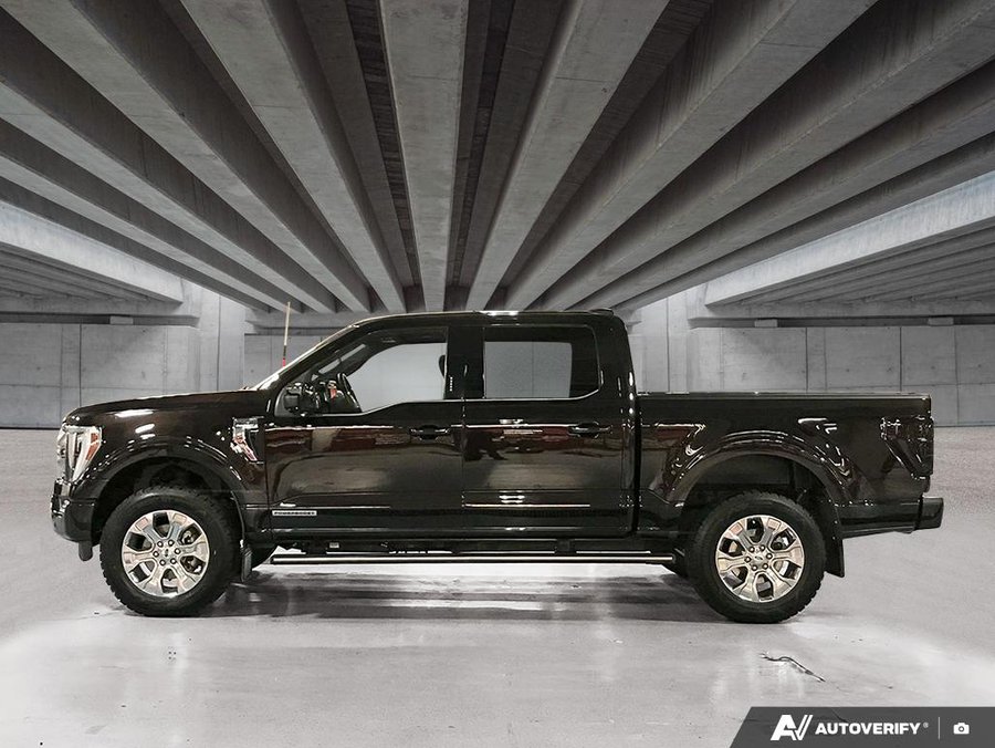 2021 Ford F-150 2021 Brown
