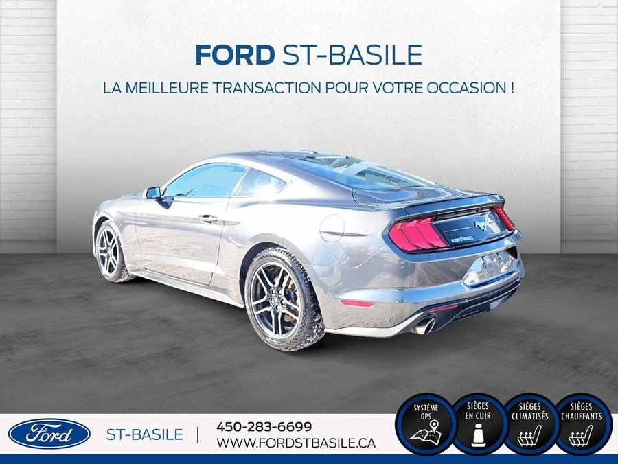 Ford Mustang 2019 2019 Gris