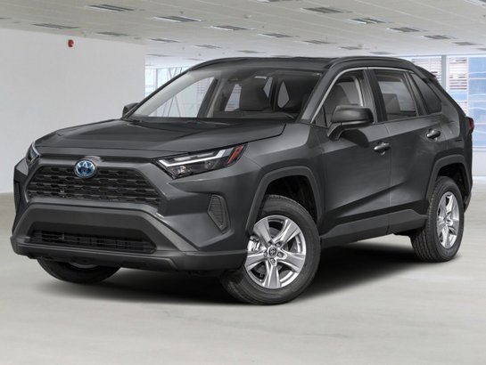Toyota RAV4 2023 2023 Gris