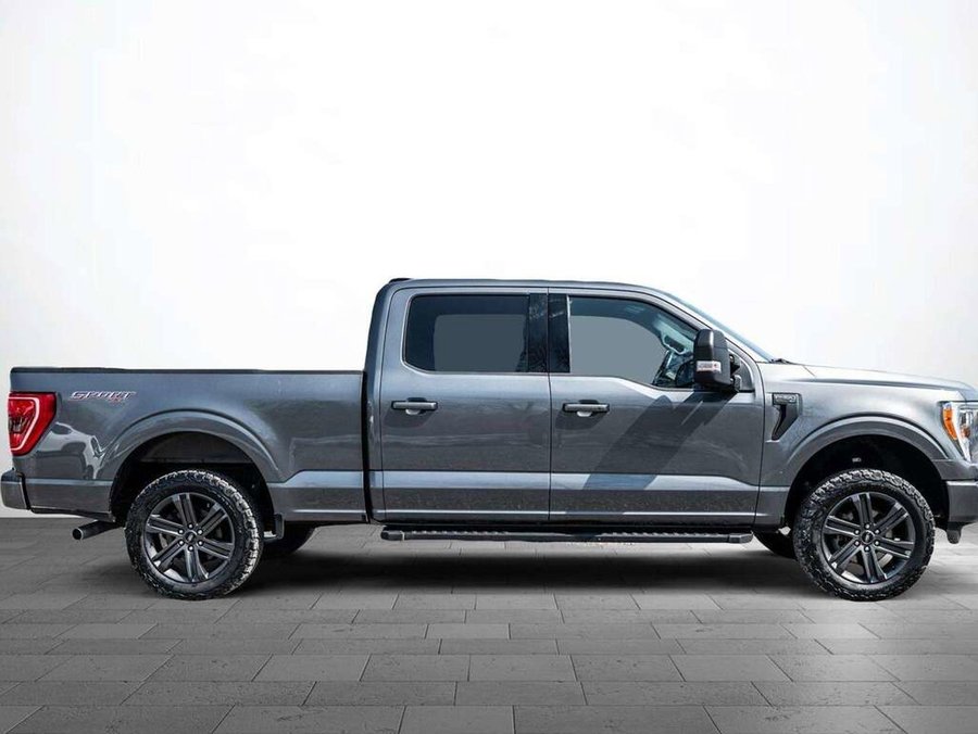 Ford F-150 2023 2023 Gris
