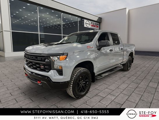 Chevrolet Silverado 1500 S6348 2024 Gris