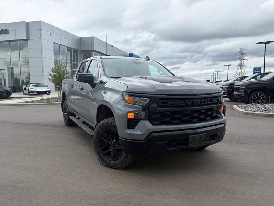 2024 Chevrolet Silverado 1500 2024 Grey