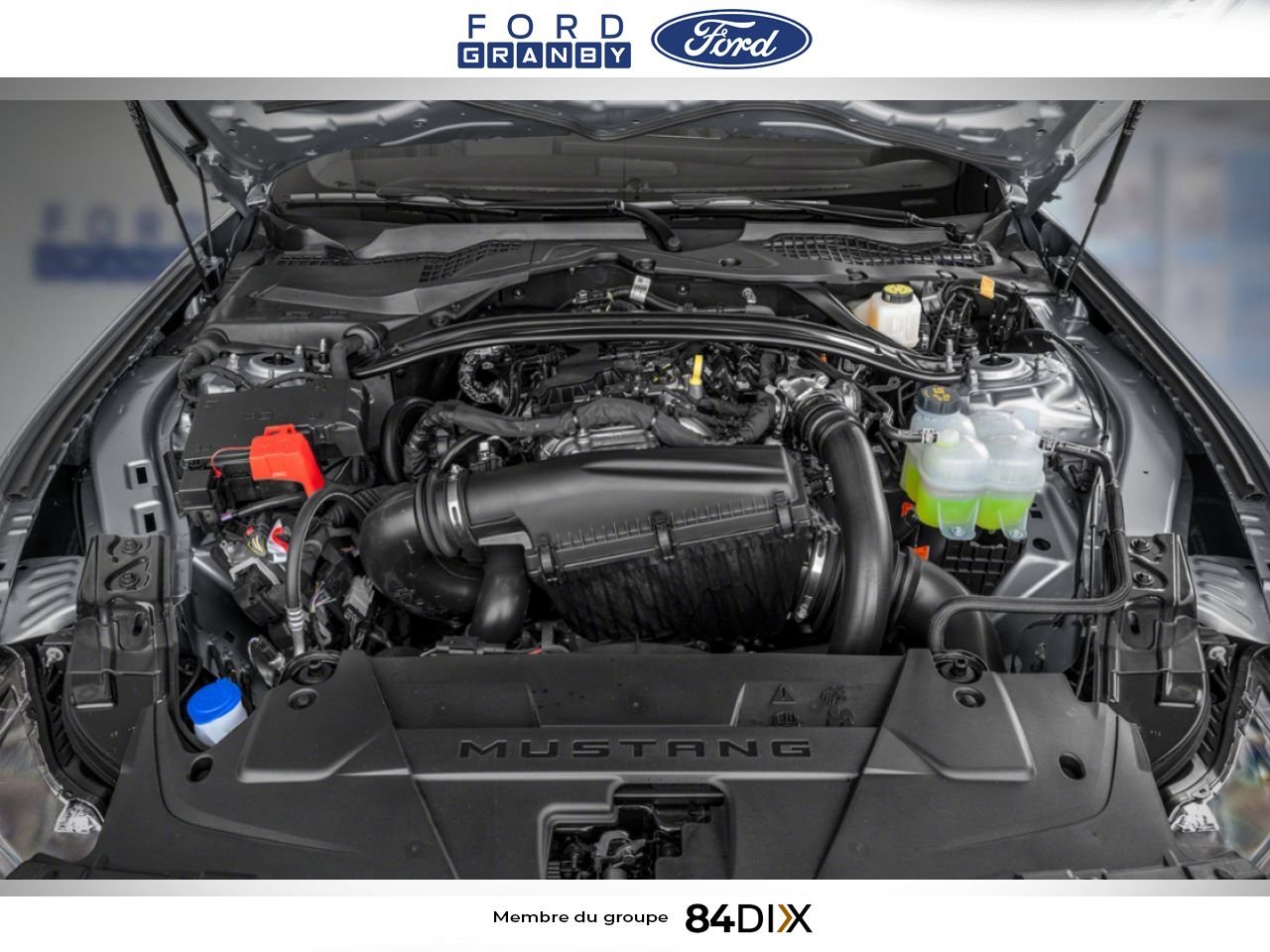 2026 Ford Mustang Shadow Black Granby - photo #4