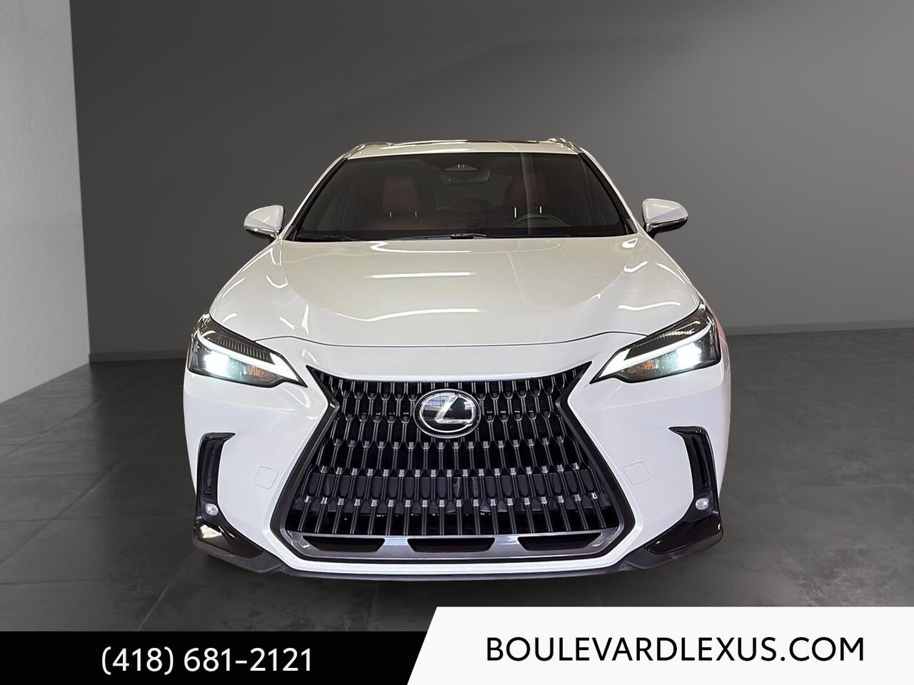 Lexus NX 19359A 2023 Blanc Québec - photo #1