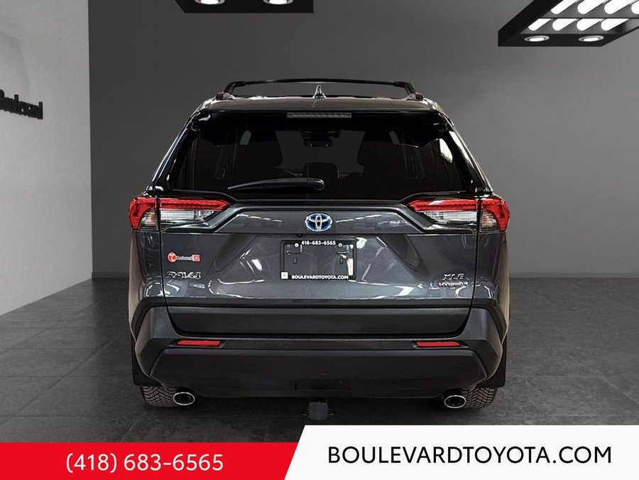 Toyota RAV4 2023 2023 Gris