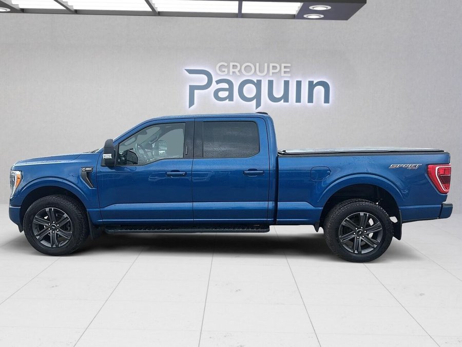Ford F-150 2023 2023 Bleu