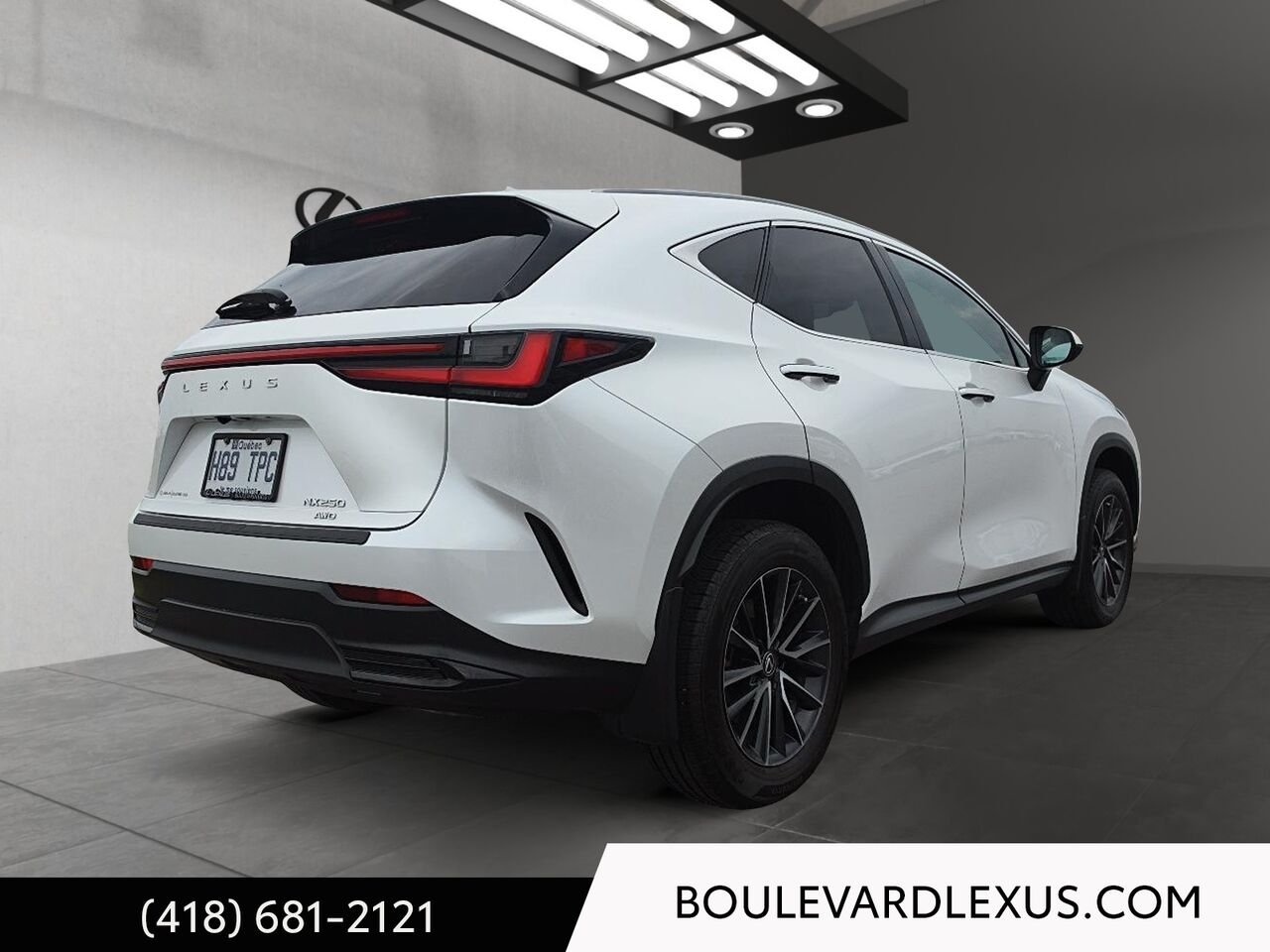 2022 Lexus NX White Quebec - photo #3