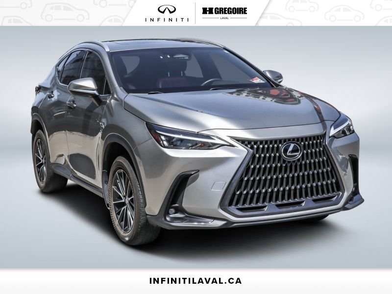 2024 Lexus NX 2024
