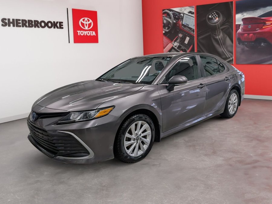 Toyota Camry Hybride 2023 2023 Gris aurore mica