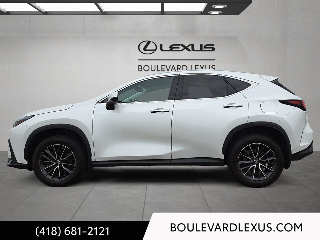 2022 Lexus NX White Quebec - photo #5