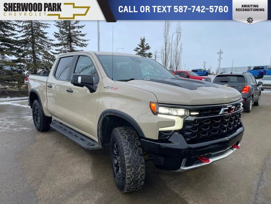 2022 Chevrolet Silverado 1500 2022 Beige