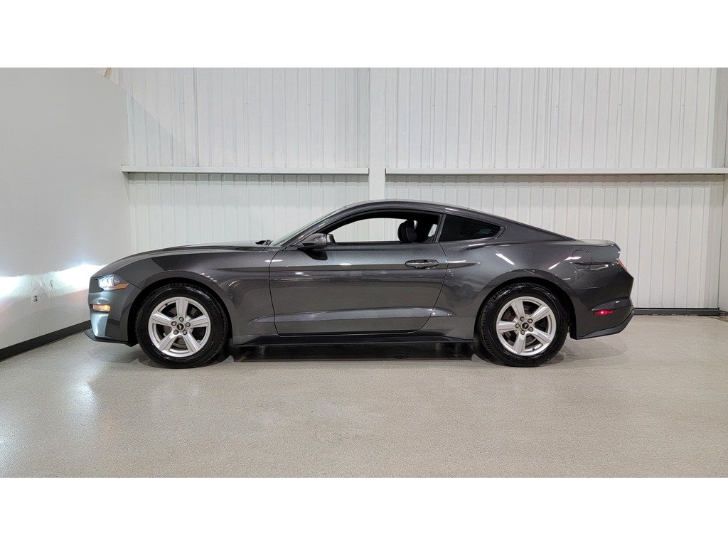 Ford Mustang EcoBoost Premium Fastback 2018 Gris Val-David - photo #2