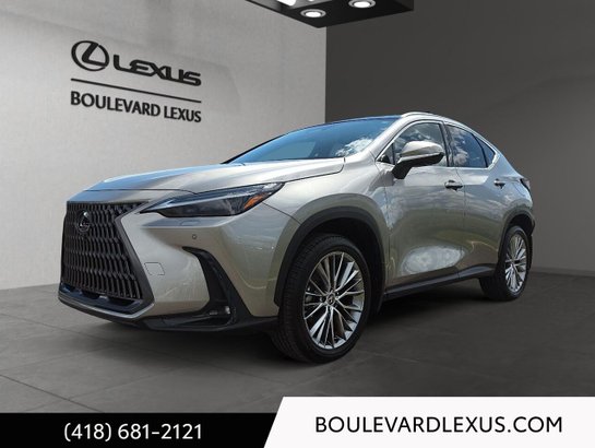 Lexus NX 2024 2024 Argent